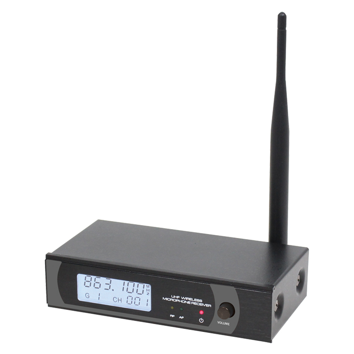 W Audio RM 30 UHF Handheld Radio Mic System (864.8Mhz)